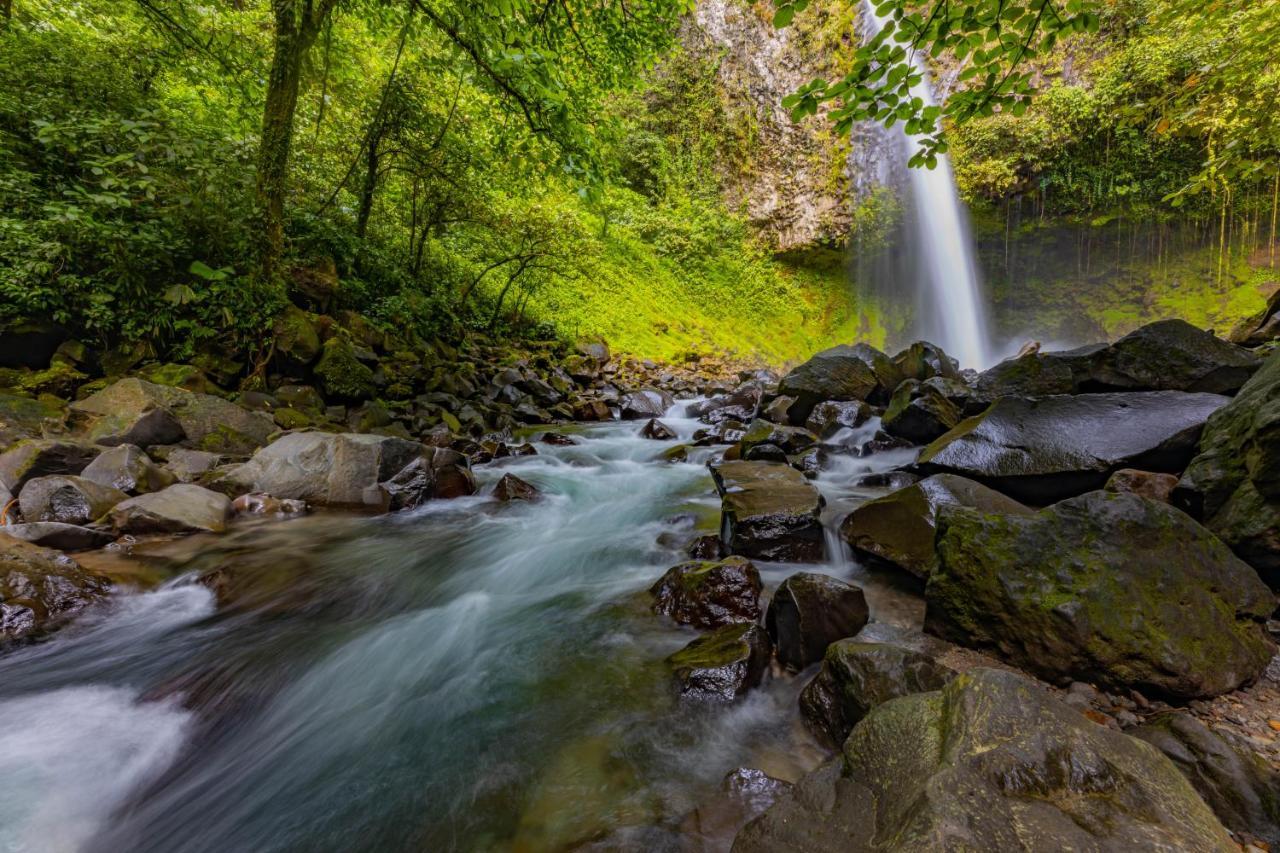 Tifakara Boutique Hotel & Birding Oasis La Fortuna Εξωτερικό φωτογραφία