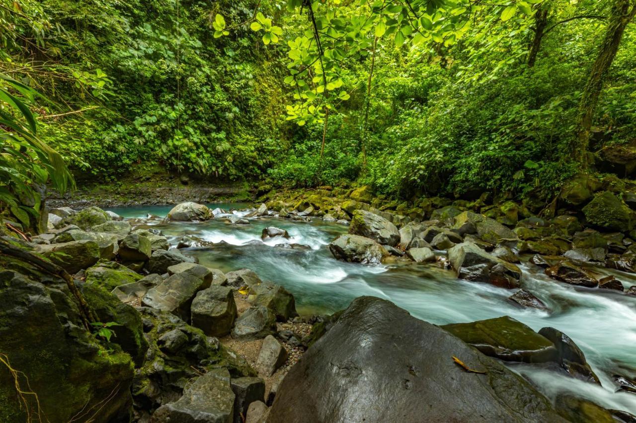 Tifakara Boutique Hotel & Birding Oasis La Fortuna Εξωτερικό φωτογραφία