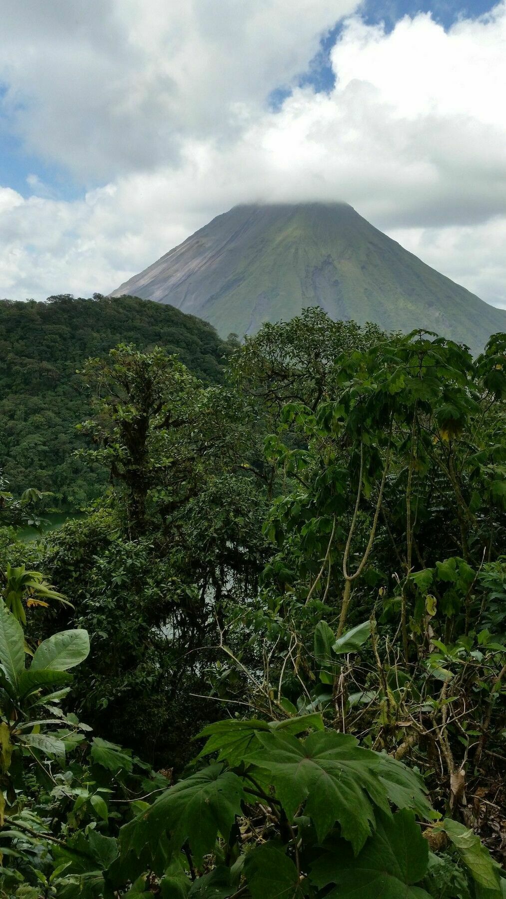 Tifakara Boutique Hotel & Birding Oasis La Fortuna Εξωτερικό φωτογραφία